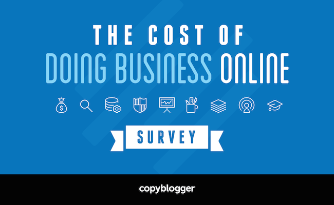 The Cost of Doing Business Online Survey