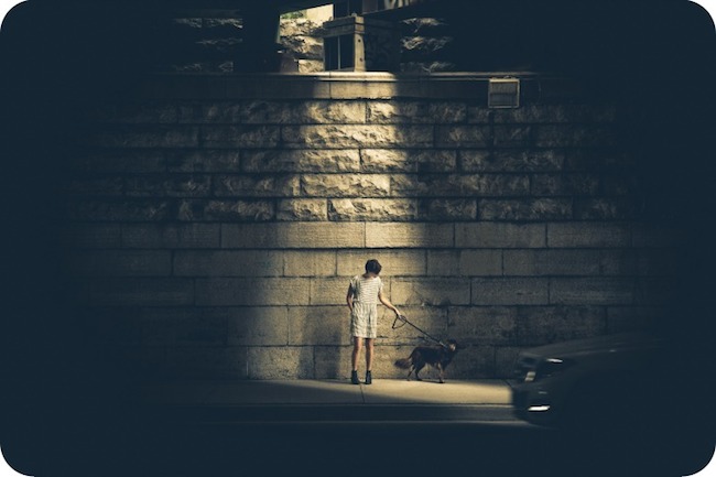 man walking dog in dark illuminated by light