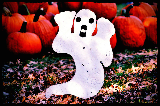 ghost figure in pumpkin patch with Autumn leaves