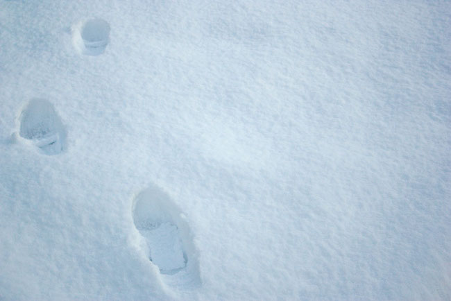 image of footsteps in fresh snow