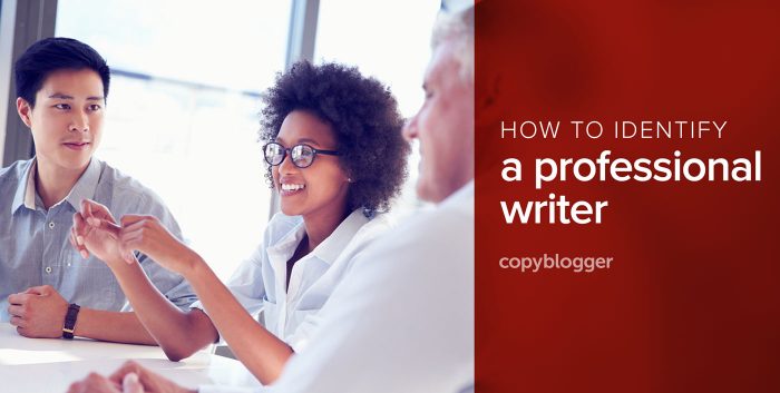 how to identify a professional writer