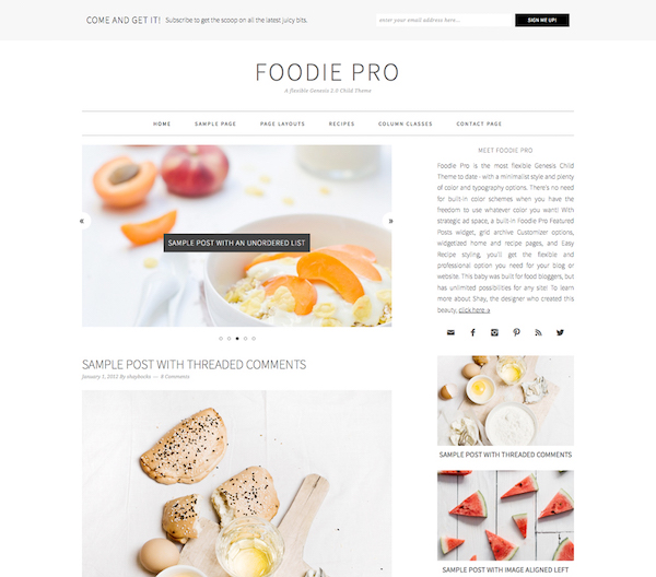 Click here to get 30% off Foodie Pro