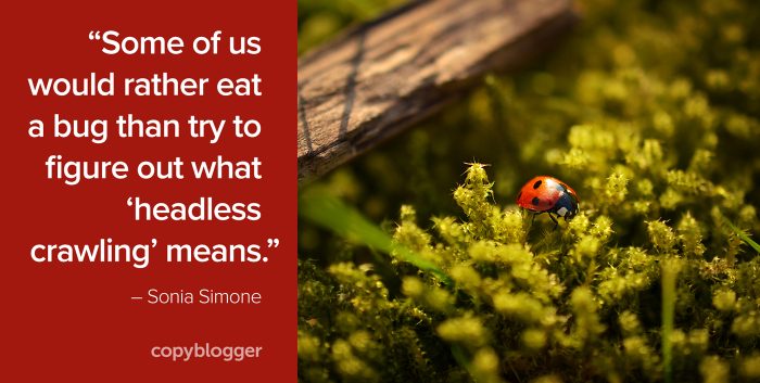 "Some of us would rather eat a bug than try to figure out what 'headless crawling' means." â€“ Sonia Simone