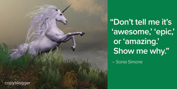 "Don't tell me it's 'awesome,' 'epic,' or 'amazing.' Show me why." â€“ Sonia Simone