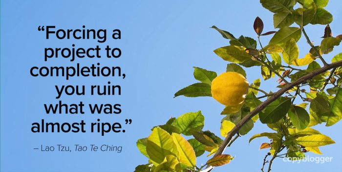 forcing a project to completion, you ruin what was almost ripe â€“ lao tzu