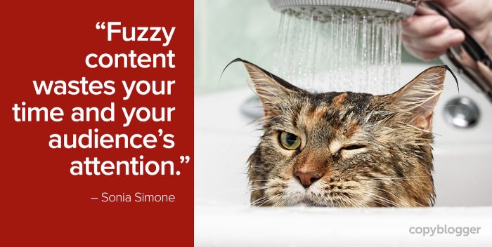 "Fuzzy content wastes your time and your audience's attention." â€“ Sonia Simone