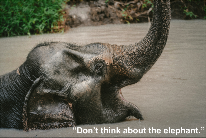 Don’t think about the elephant. Seriously, don’t think about it.