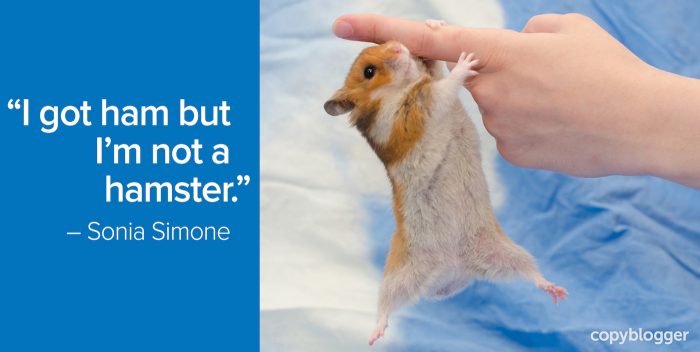"I got ham but I'm not a hamster." – Sonia Simone